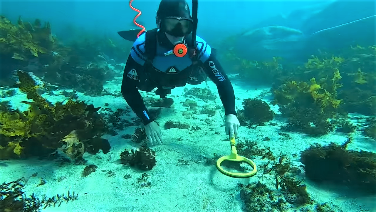 Picture of a diver using hookah diving hose to breathe while using a metal detecting wand to search the bottom for gold and treasure.